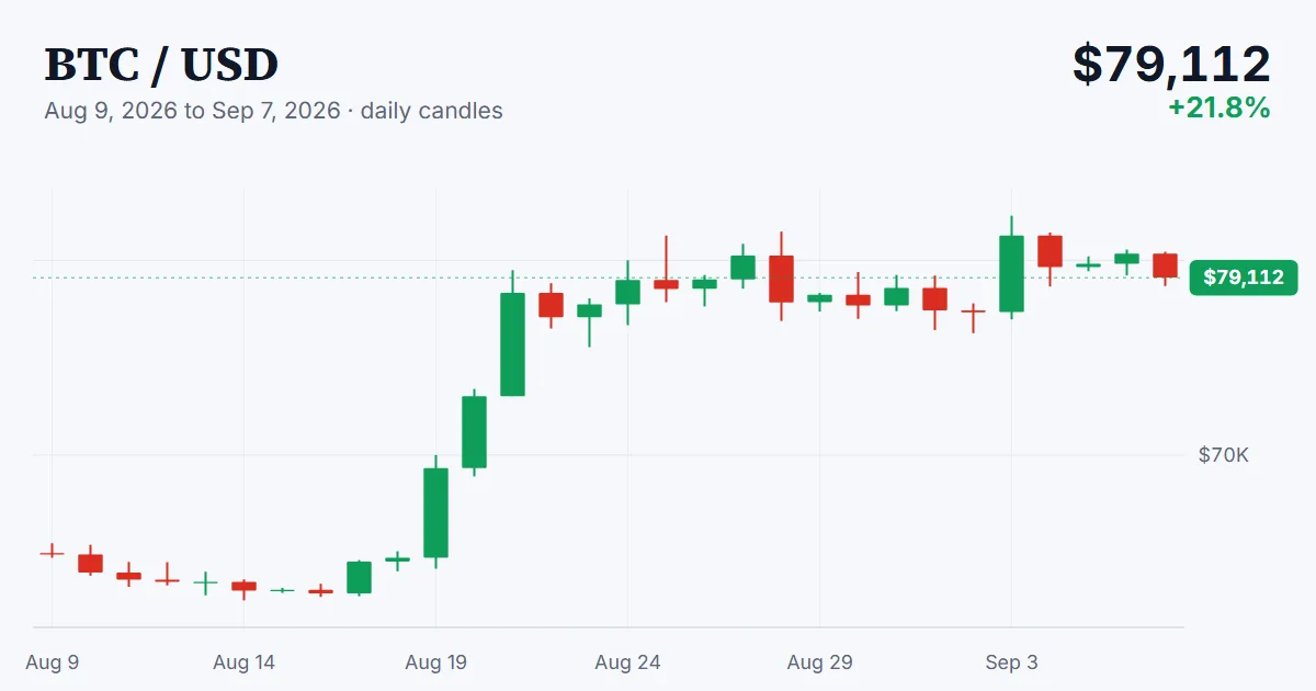 BTC price chart, 2026-08-09 to 2026-09-07
